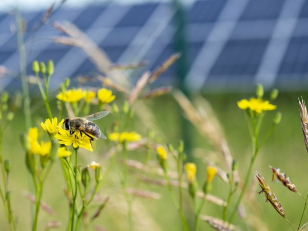 The Path to Photovoltaic Recycling: The European Challenge The Path to Photovoltaic Recycling: The European Challenge