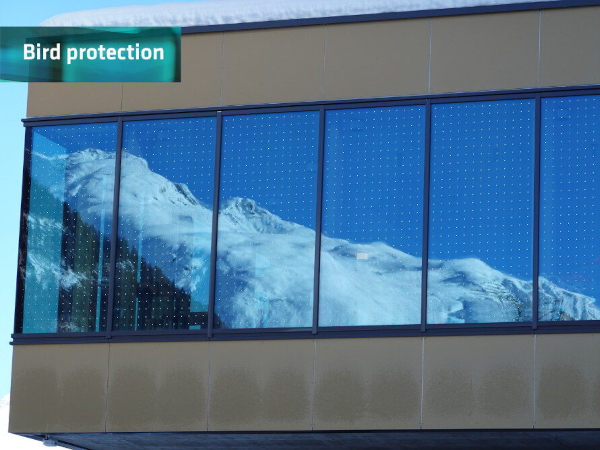 Glass in architecture poses a danger to birds - bird protection glass offers a solution. Photo: © M. Haller