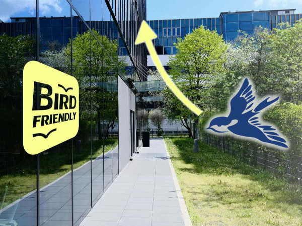 HEGLA at Fensterbau Frontale: Added Value Through Storage, Logistics, Finishing and Sustainability