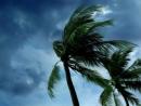 Saflex® Storm PVB interlayer