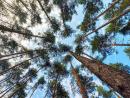 Saint-Gobain once again recognized for its commitment in the fight against climate change