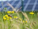 The Path to Photovoltaic Recycling: The European Challenge