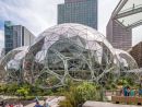 The most popular Vitro project of 2025: Amazon Spheres (Photography: Tom Kessler) 