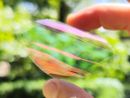 © Fraunhofer ISE As part of the “Durchblick-PV” project, the research team also manufactured flexible, organic PV modules on film.