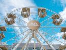 The Forel Anniversary Week: five days packed with events celebrating the company’s 50-year heritage.