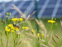 The Path to Photovoltaic Recycling: The European Challenge