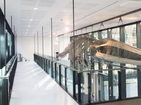 Advanced Glazing Helps Bring Prestigious Cambridge University Building into the 21st Century