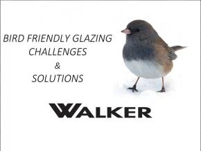 Bird Friendly Glazing Challenges & Solution