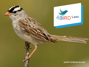 New 4BIRD®Lami