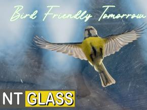 Bird Friendly Glass from Nashville Tempered Glass