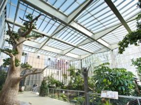 The National Aviary’s largest habitat, the Wetlands, reopened its doors on October 31, 2022. The renovated habitat provides its birds and guests with the perfect ambiance and aesthetics. (Photo: Jim Cunningham)