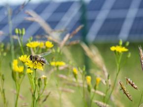 The Path to Photovoltaic Recycling: The European Challenge