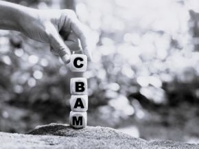 The Carbon Boarder Adjustment Mechanism: state of play
