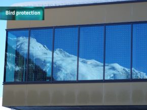 Glass in architecture poses a danger to birds - bird protection glass offers a solution. Photo: © M. Haller