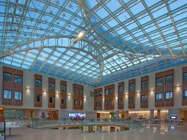 olin business school mba essays olin business school mba essays