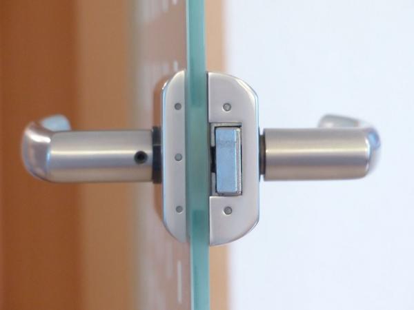 Interior doors - is glass right for my project?