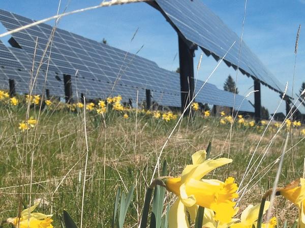 DuPont™ Tedlar® PVF film-based backsheets perform flawlessly in one of Europe’s oldest solar arrays DuPont™ Tedlar® PVF film-based backsheets perform flawlessly in one of Europe’s oldest solar arrays