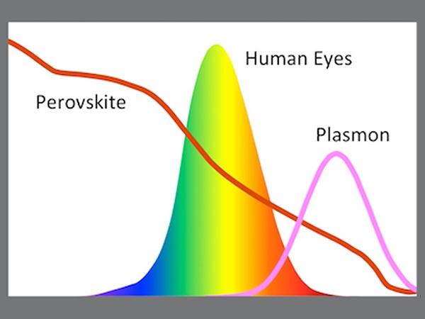 Human Luminosity Curve