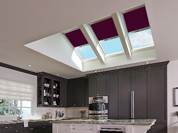 Skylight/Sloped Glazing Council Talks NAFS, New White Paper, Documents at Annual Conference