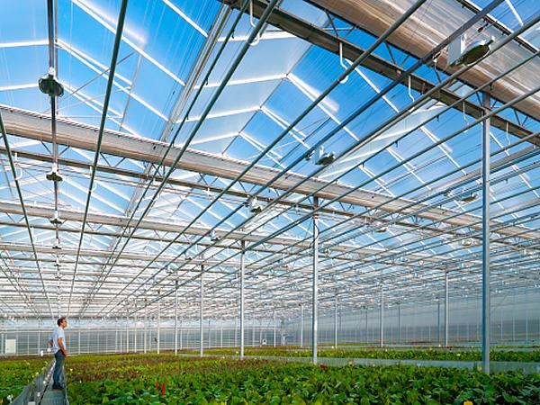 High yield for greenhouses used for agricultural purposes with Saint-Gobain glass