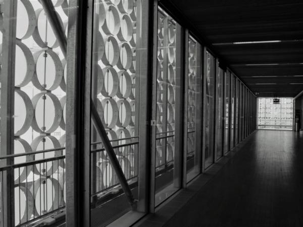 royal melbourne institute of technology