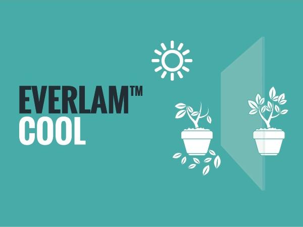 Comfortable Indoors with New EVERLAM™ COOL!