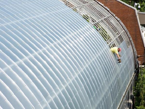 Installation of new bird-friendly glass at National Aviary nears halfway point