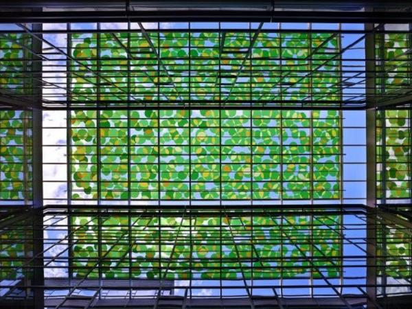 Goldray’s technographic interlayer film, Starphire glass by Vitro Architectural Glass combine to create stunning glass canopy