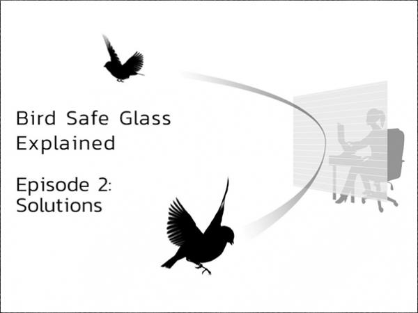 Bird Safe Glass Explained – Episode II “Solutions”