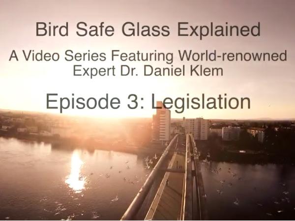 Bird Safe Glass Explained - Episode 3: The Legislation
