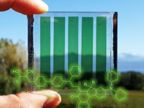 Photochromic solar cells change from pale yellow to orange, red or even dark green in bright light, increasing their photovoltaic efficiency at the same time. Photochromic solar cells change from pale yellow to orange, red or even dark green in bright light, increasing their photovoltaic efficiency at the same time.