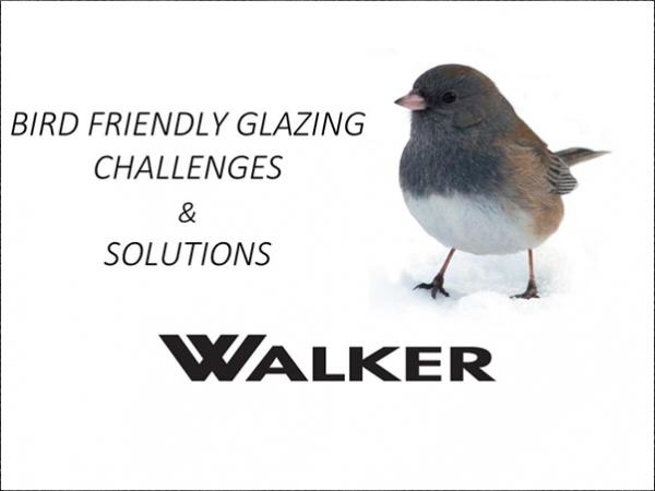 Bird Friendly Glazing Challenges & Solution Bird Friendly Glazing Challenges & Solution
