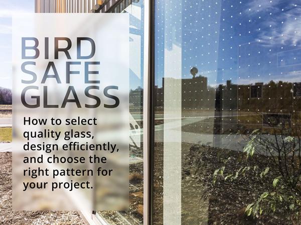 Bird Safe Glass – design rules to meet your budget and minimize bird collisions Bird Safe Glass – design rules to meet your budget and minimize bird collisions