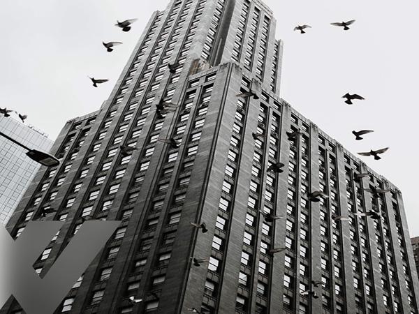 Bird Safe Glass Legislation in North America Bird Safe Glass Legislation in North America