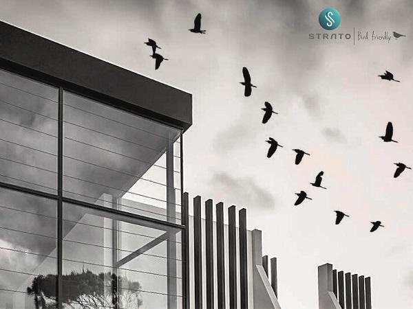 SATINAL – STRATO® Bird Friendly the first nature-safe interlayer for safety glass 