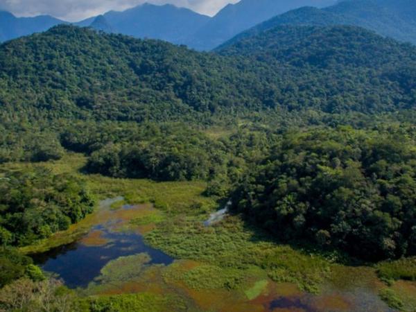 Eastman partnership will help with Brazilian forest restoration