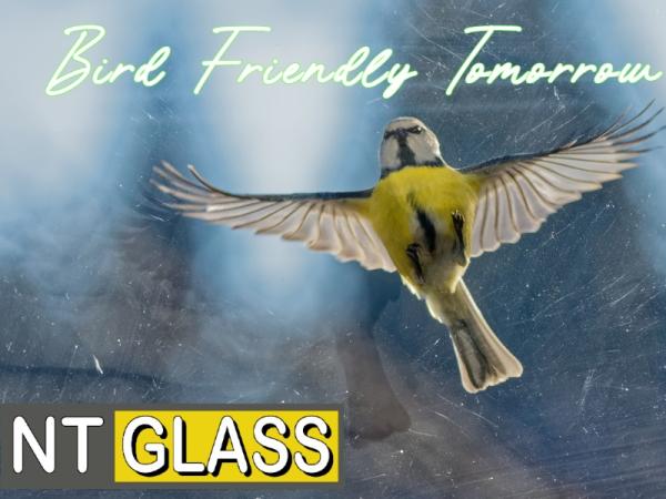 Bird Friendly Glass from Nashville Tempered Glass