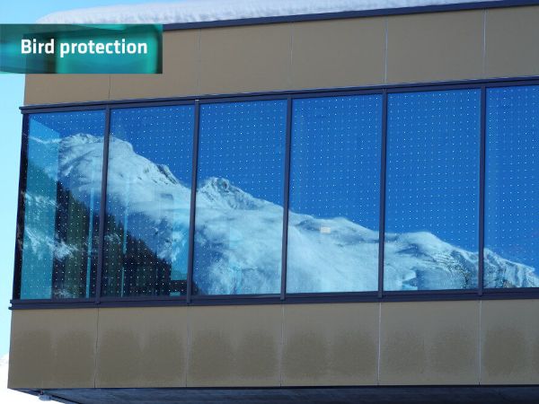 Glass in architecture poses a danger to birds - bird protection glass offers a solution. Photo: © M. Haller