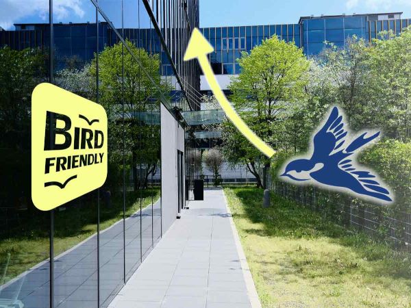 HEGLA at Fensterbau Frontale: Added Value Through Storage, Logistics, Finishing and Sustainability