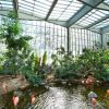 The National Aviary’s Wetlands Habitat (Photography: Jim Cunningham)