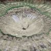 Innovative Study Highlights Lightweight Laminated Glass for Sustainable Construction